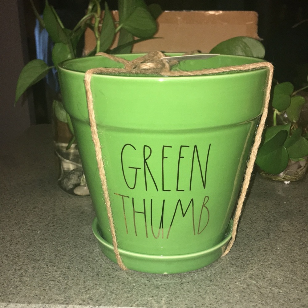 Rae Dunn planter